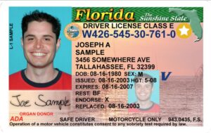 Florida driver’s license holder