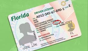 A picture of a restricted license in Florida 